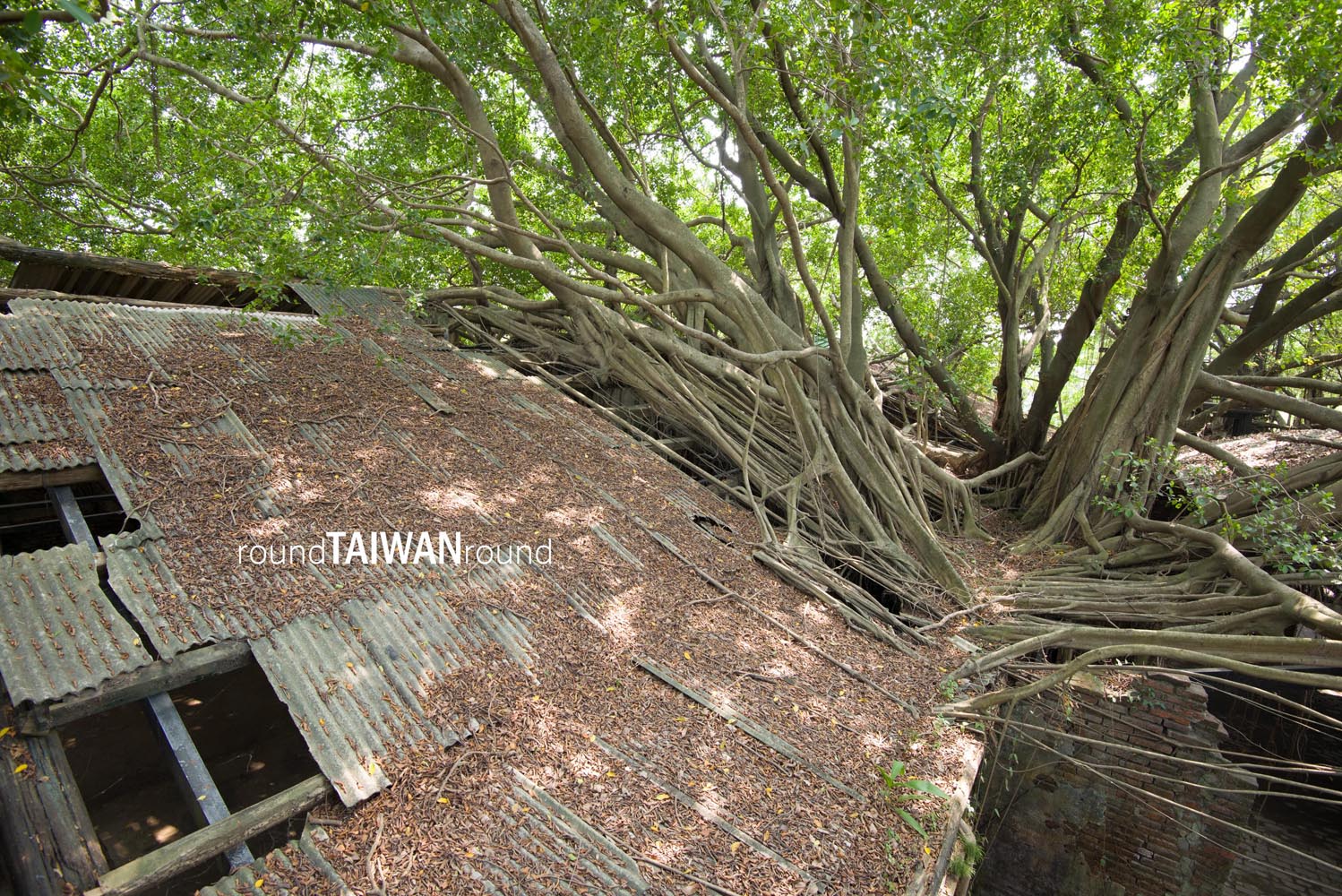 Anping_Tree_House_______-028.jpg