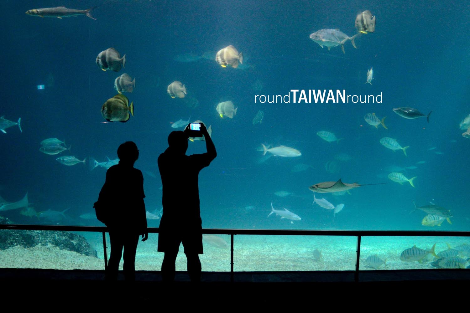 National_Museum_of_Marine_Biology___Aquarium________-013.jpg