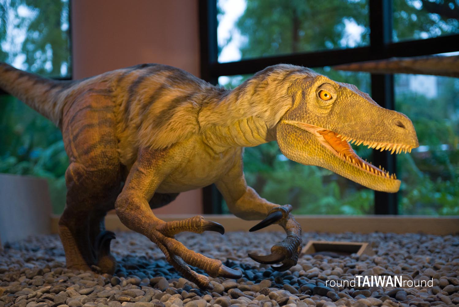 National Museum of Natural Science