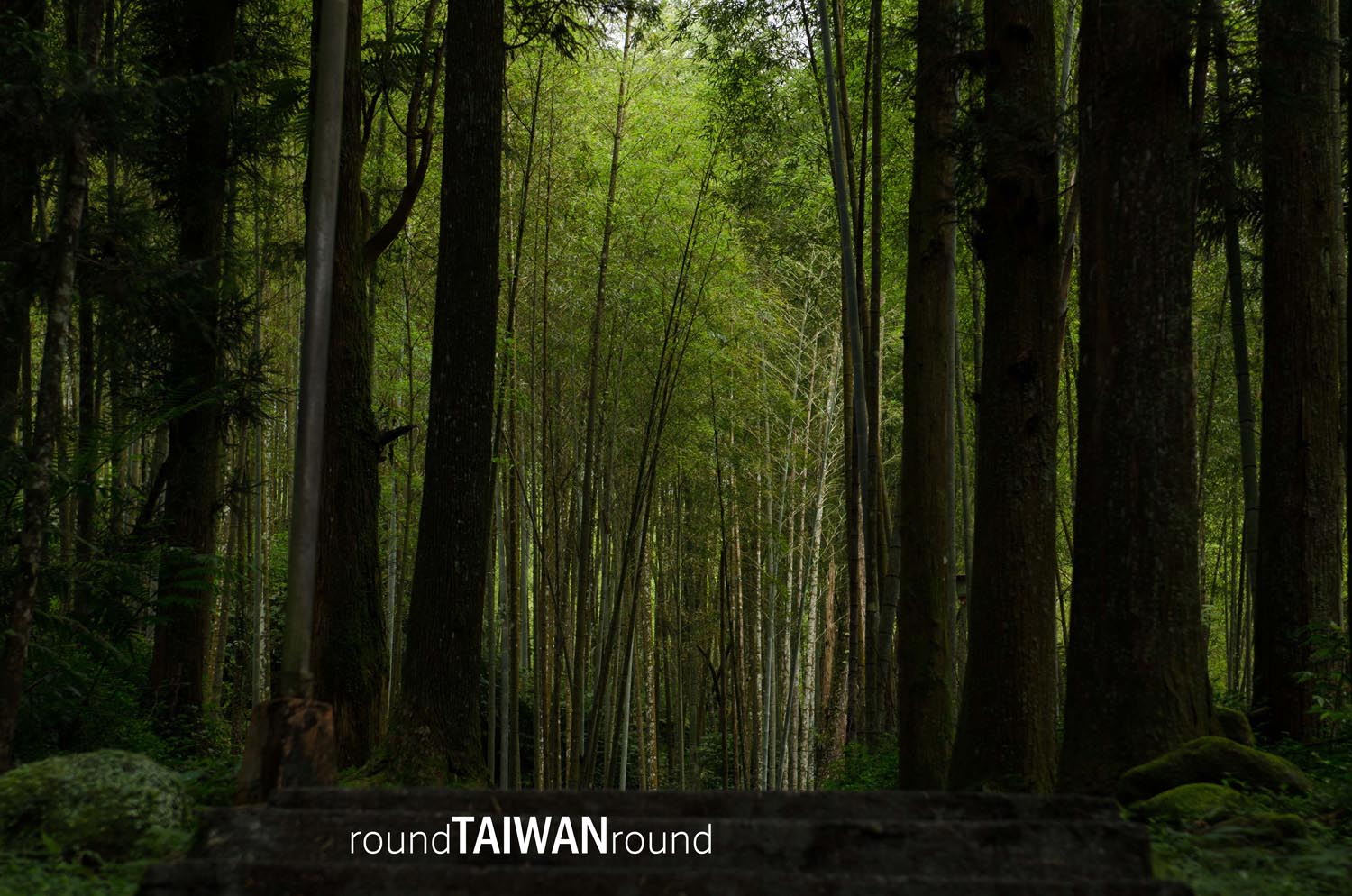 Xitou Nature Education Area