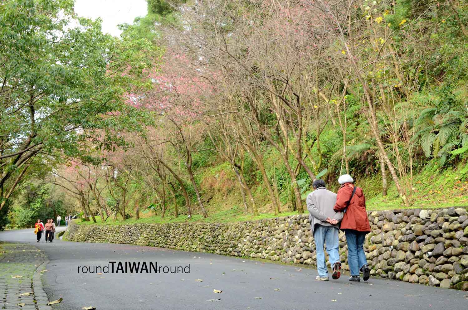 Renshan Botanic Garden