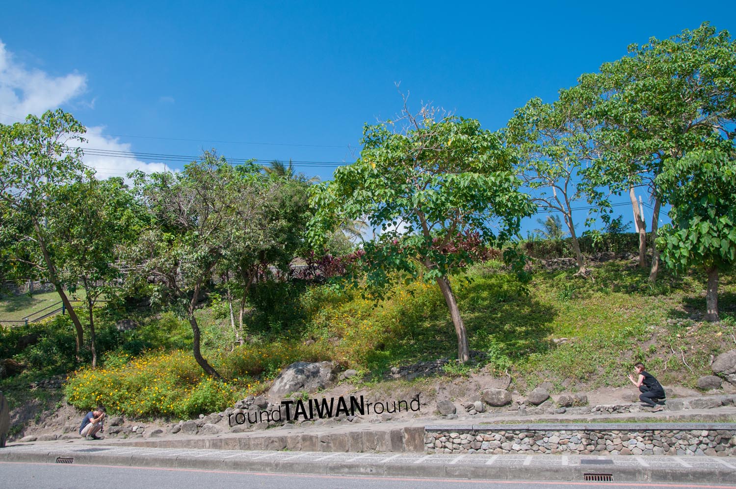 Water Flowing Upward