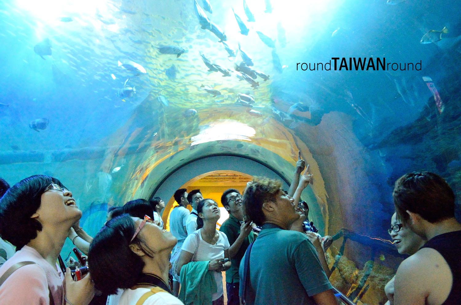 National Museum of Marine Biology & Aquarium