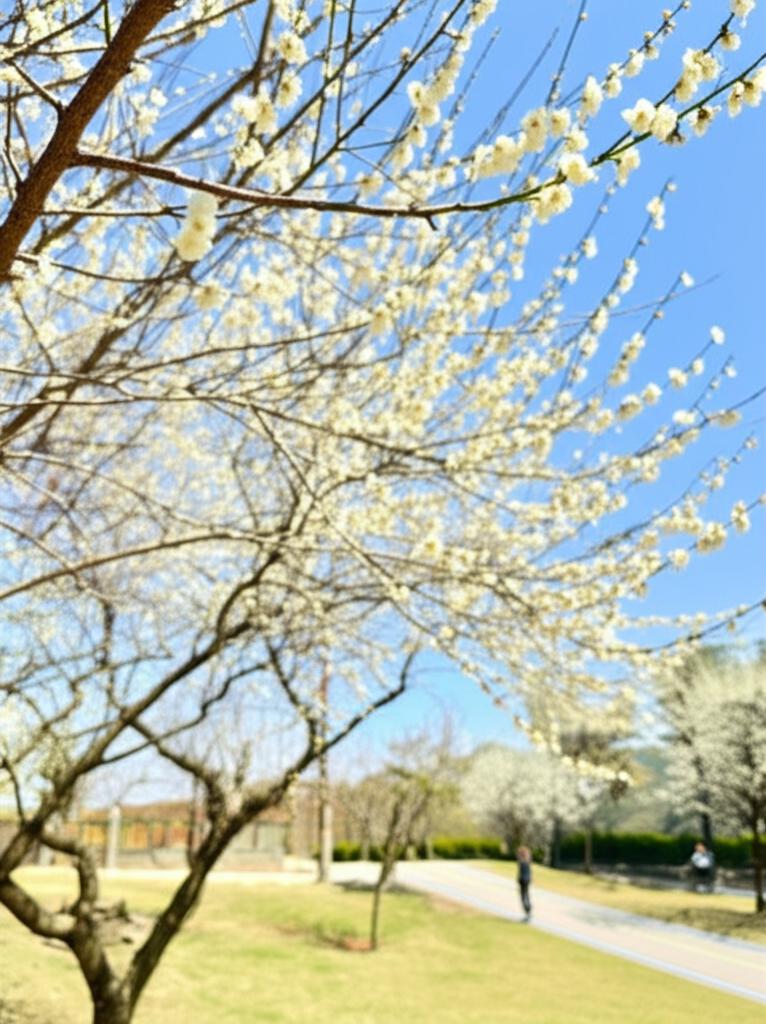 Jiaobanshan Night Market